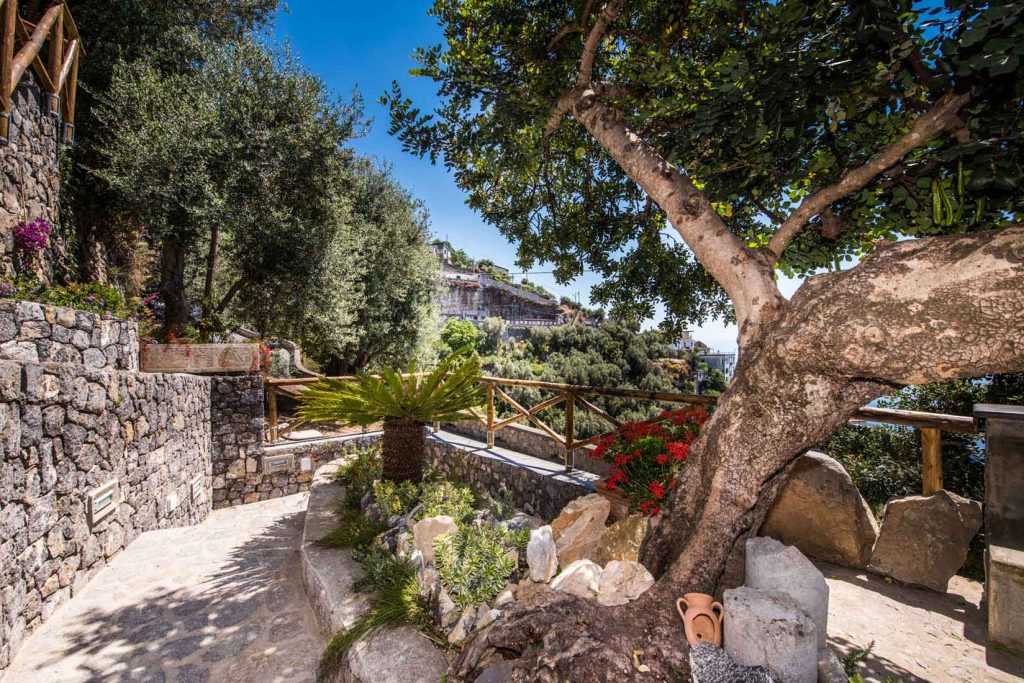 le-contrade-SOSORE_FURORE-7