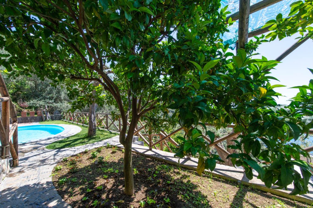 flatiron_2_sosore_-12