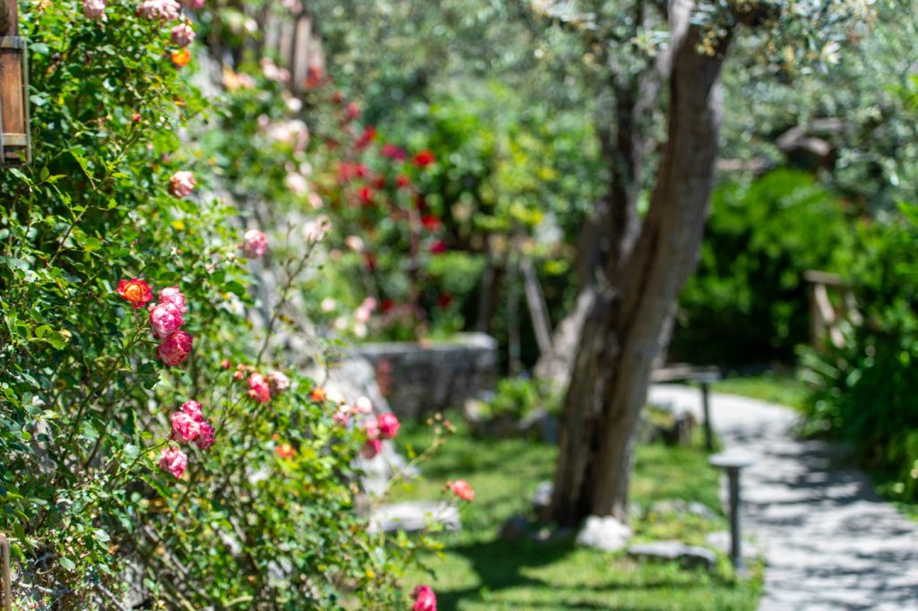 flatiron_2_sosore_-20