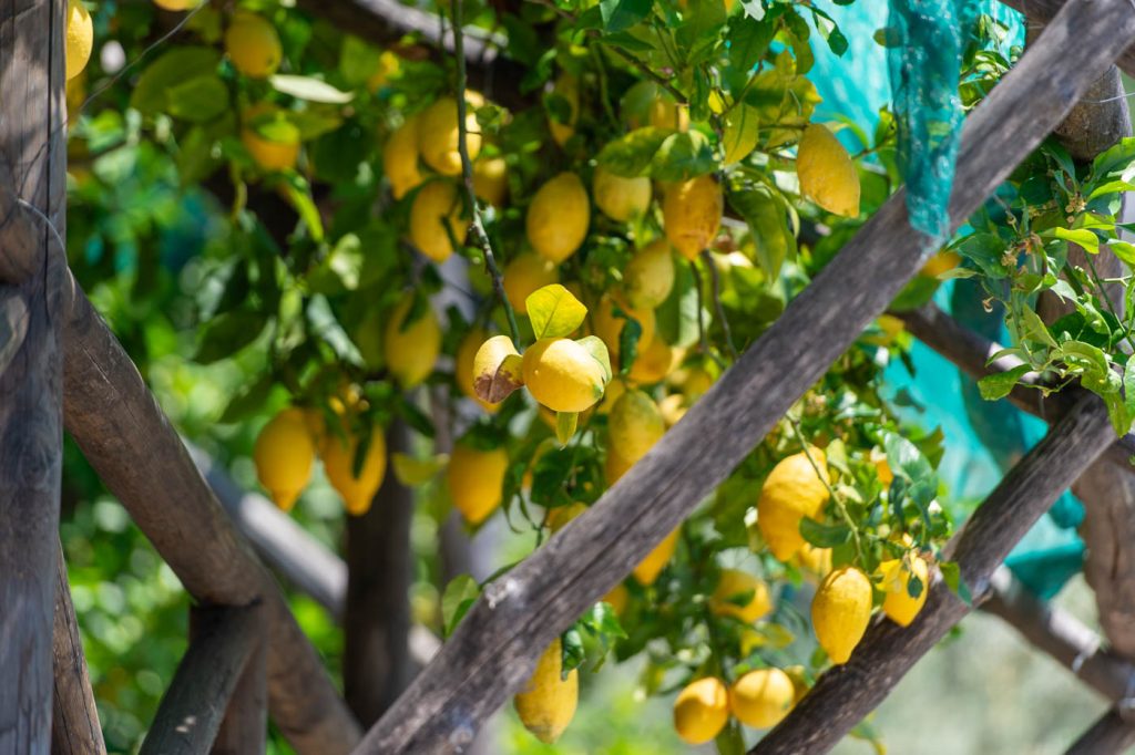 flatiron_2_sosore_-22